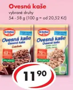 Ovesná kaše