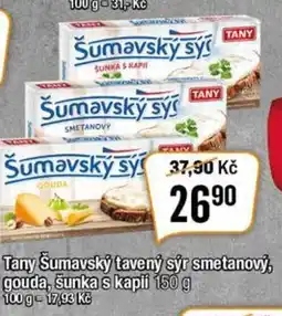 TEMPO Tany Šumavský tavený sýr smetanový, gouda, šunka s kapii 150 g nabídka