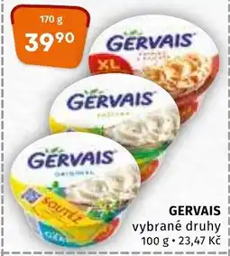 Terno GERVAIS nabídka