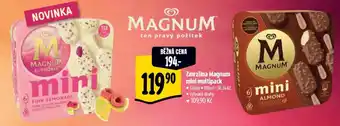 Albert Zmrzlina Magnum mini multipack nabídka