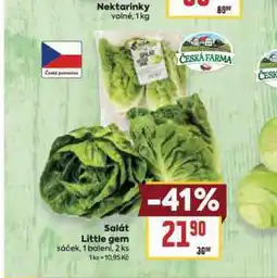 Billa Salát little gem nabídka