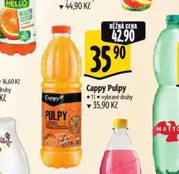 Albert Cappy pulpy nabídka