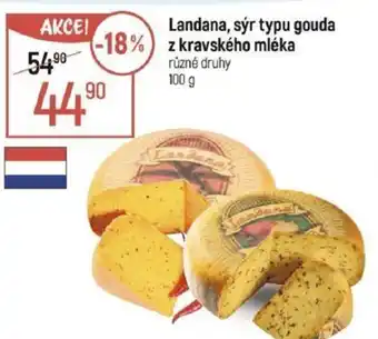 Globus Landana, sýr typu gouda z kravského mléka nabídka