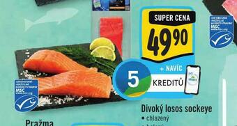 Jip Divoký losos sockeye nabídka