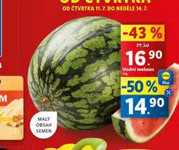 Lidl Vodní meloun nabídka
