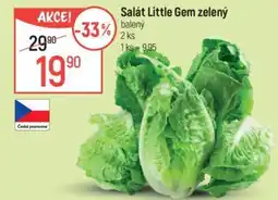 Globus Salát Little Gem zelený nabídka