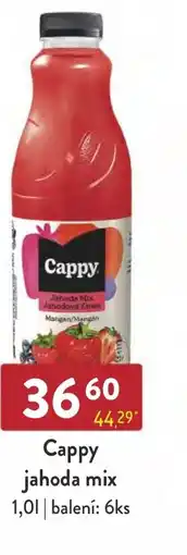 Qanto Cappy jahoda mix 1.0L nabídka