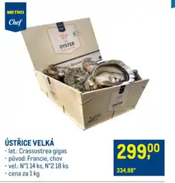 Makro ÚSTŘICE VELKÁ nabídka