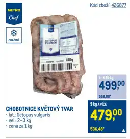 Makro CHOBOTNICE KVĚTOVÝ TVAR nabídka