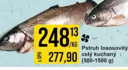 Jip Pstruh lososovitý cely kuchaný nabídka