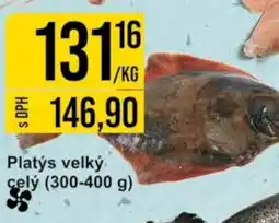 Jip Platys velký celý nabídka