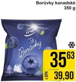 Jip Borůvky kanadské nabídka