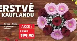 Kaufland Kytice - Růže nabídka