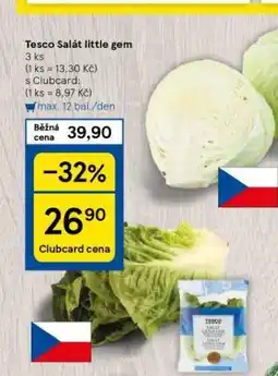 Tesco Salát little gem nabídka