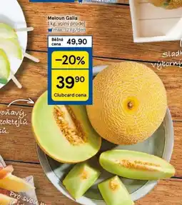 Tesco Meloun galia nabídka