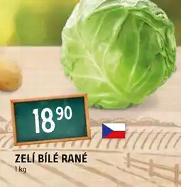 Terno ZELÍ BÍLÉ RANÉ nabídka