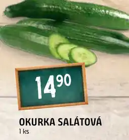 Terno OKURKA SALÁTOVÁ nabídka