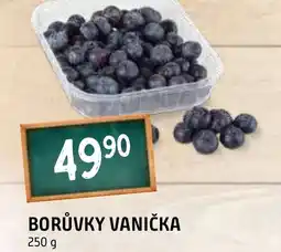 Terno BORŮVKY VANIČKA nabídka
