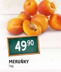Terno MERUŇKY nabídka