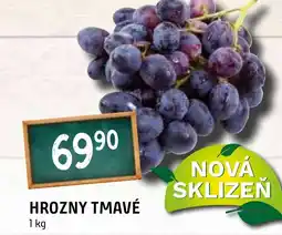 Terno HROZNY TMAVÉ nabídka