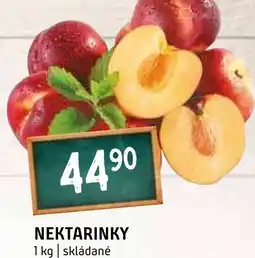 Terno NEKTARINKY nabídka