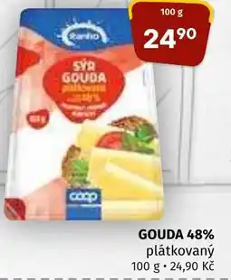 Terno GOUDA 48% nabídka