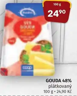 Trefa GOUDA 48% nabídka