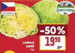 Ledový salát