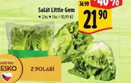 Albert Salát Little Gem nabídka