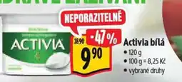 Albert Activia bílá nabídka
