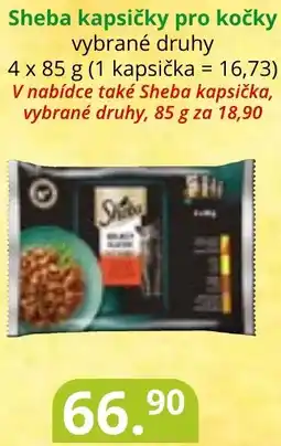 Potraviny CZ Sheba kapsičky pro kočky nabídka