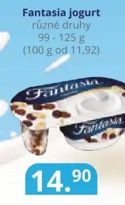 Potraviny CZ Fantasia jogurt nabídka