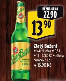 Albert Pivo zlatý bažant nabídka