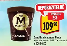 Albert Zmrzlina magnum nabídka