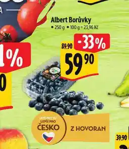 Albert Borůvky nabídka