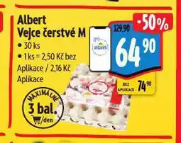 Albert Vejce m nabídka