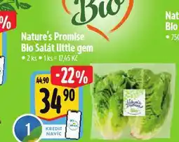 Albert Bio salát little gem nabídka