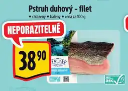 Albert Pstruh duhový nabídka