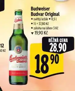 Albert Pivo budweiser budvar nabídka