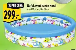 Albert Nafukovací bazén nabídka