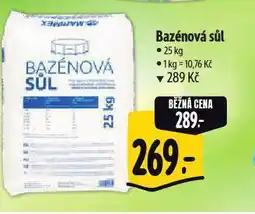 Albert Bazénová sůl nabídka