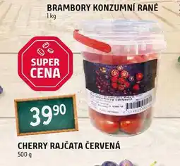 Terno Cherry rajčata červená nabídka