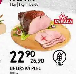Terno Uhlířská plec nabídka