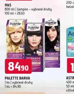 Terno Palette barva na vlasy nabídka