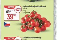 Globus Rajčata koktejlová keříková nabídka