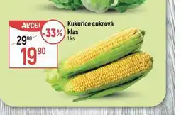 Globus Kukuřice cukrová klas nabídka