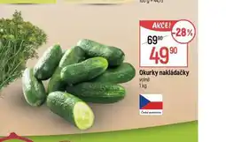 Globus Okurky nakládačky nabídka
