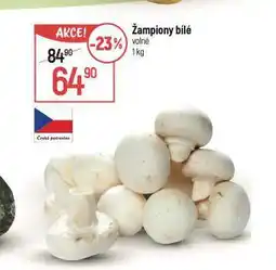Globus Žampiony bílé nabídka