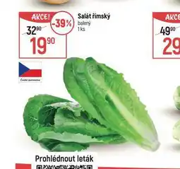 Globus Salát římský nabídka