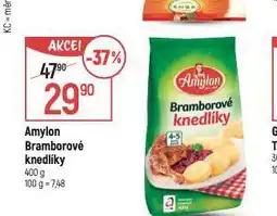 Globus Amylon bramborové knedlíky nabídka